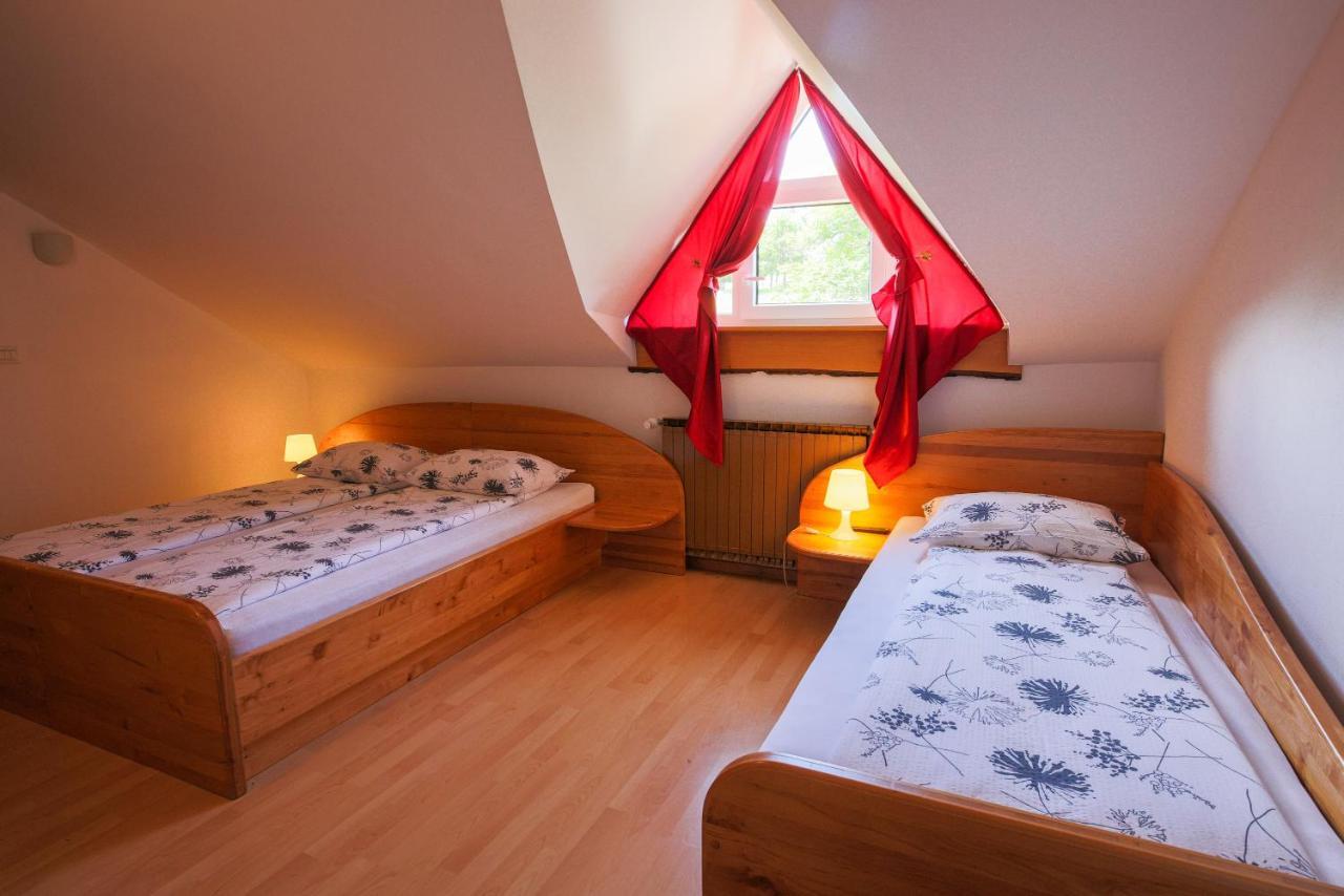 Bivanje na kmetiji Domacija Malnarjevi Villa Slavina
