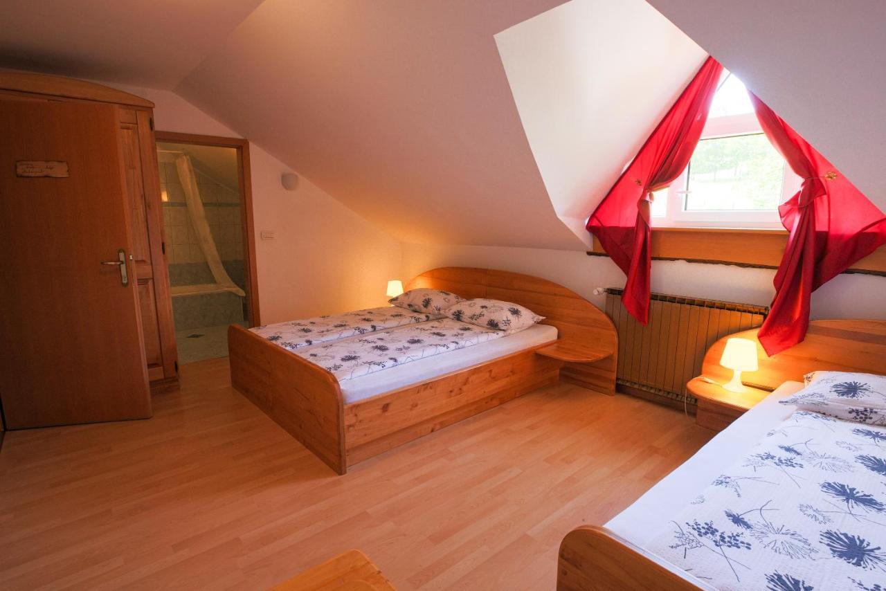 Domacija Malnarjevi Villa Slavina