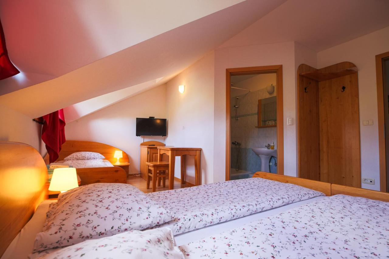 Bivanje na kmetiji Domacija Malnarjevi Villa Slavina